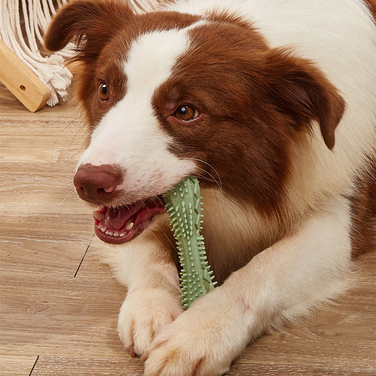 Chewable Dog Toothbrush Toy Clean Teeth and Happy Playtime